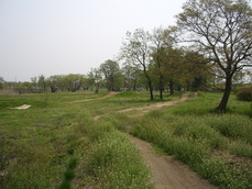 MTB 053.jpg