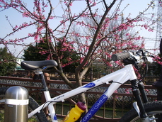 2007.2.8.JPG