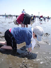 家族旅行 20060343.jpg