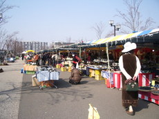 画像 251.jpg