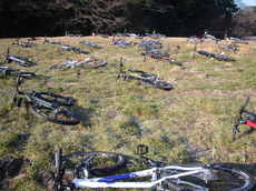 MTB 011.jpg