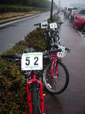 MTB 014.jpg
